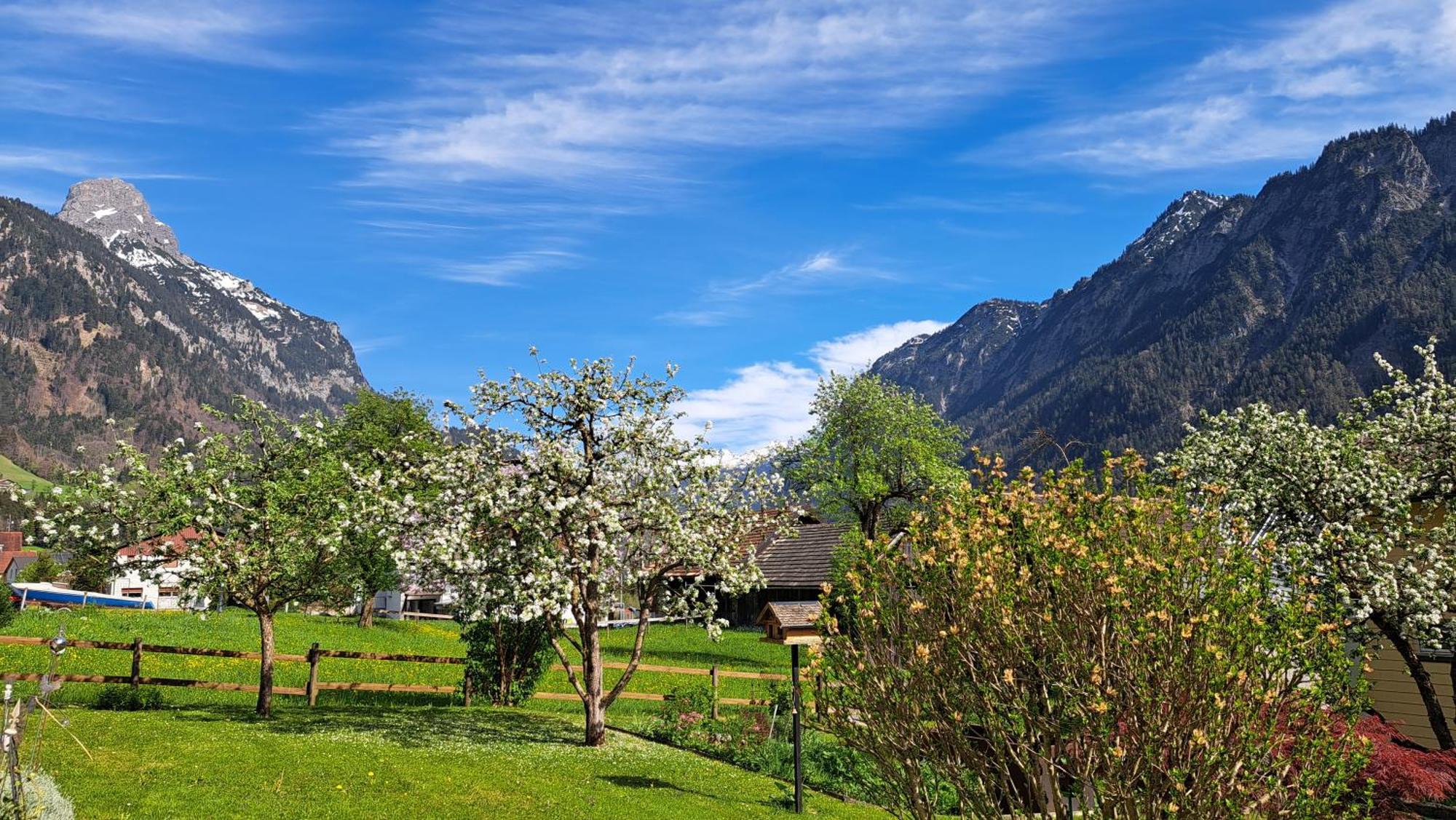 Baers Mountain Stay Ausserbraz Innerbraz Zewnętrze zdjęcie