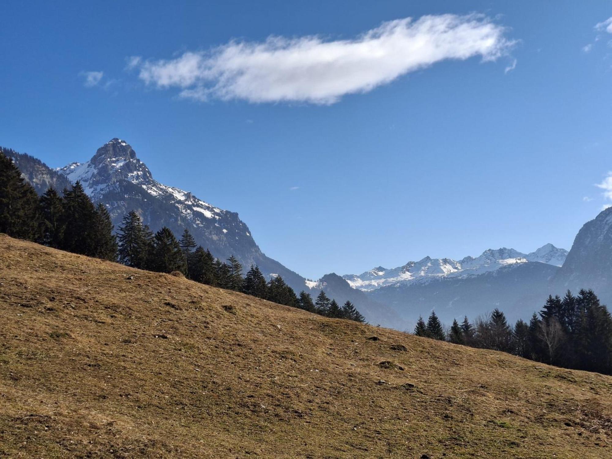Baers Mountain Stay Ausserbraz Innerbraz Zewnętrze zdjęcie